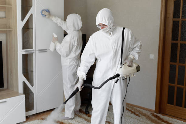 24/7 Emergency Odor Removal experts in Albany, CA