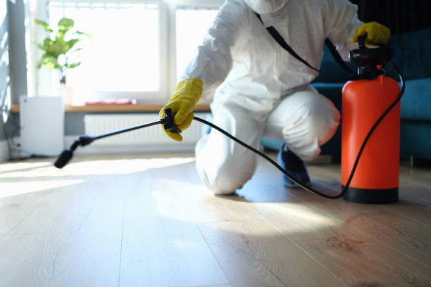 Reliable Odor Removal contractor in Albany, CA by Trauma Clean Pros